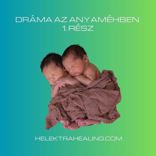 14 Cikk: Dráma az anyaméhben 1. rész / Az ikerterhesség kialakulása