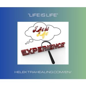 01 Reflections: "Life is Life"