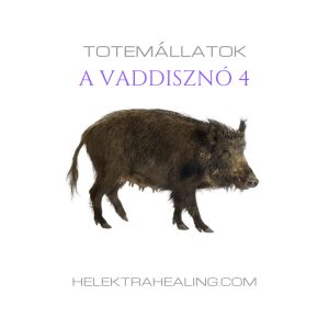 Totem Animals: The Boar