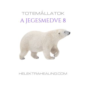 Totem Animals: The Polar Bear