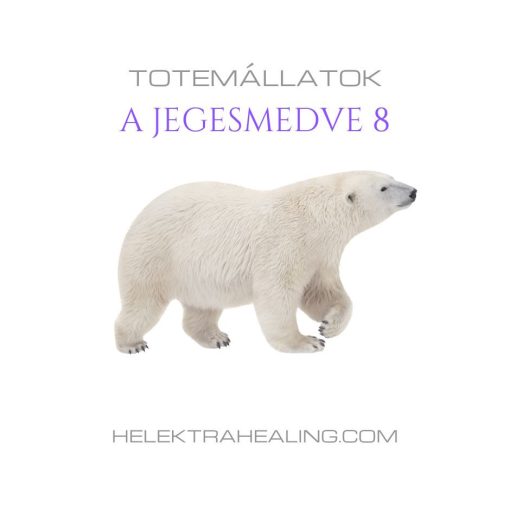 Totem Animals: The Polar Bear