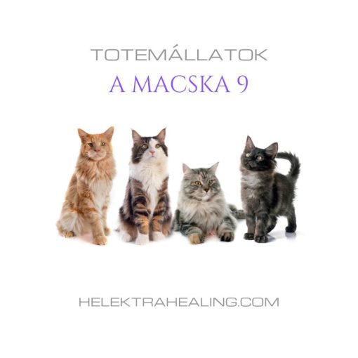 Totem Animals: The Cat