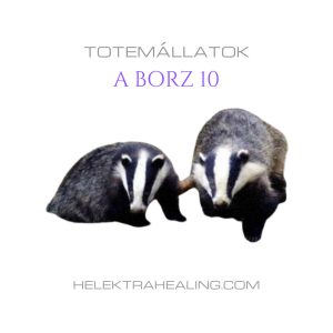 Totem Animals: the Badger