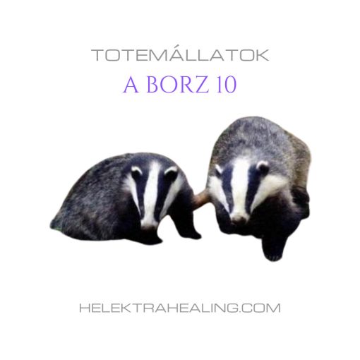 Totem Animals: the Badger