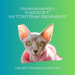 12 Önmegismerés 1: A KEZDET: Mi történik bennem?