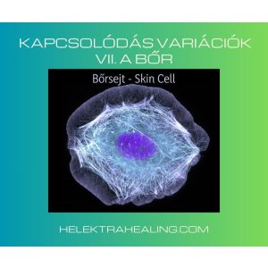 2021. 10. hó, Kapcsolódás Variációk VII. A bőr