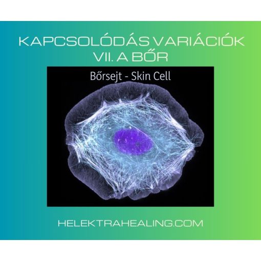 2021. 10. hó, Kapcsolódás Variációk VII. A bőr