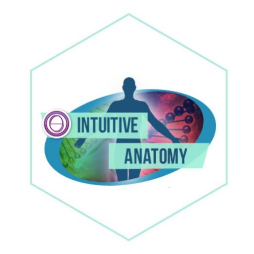 ThetaHealing® Intuitive Anatomy