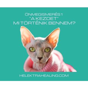 12 Önmegismerés 1: A KEZDET: Mi történik bennem?