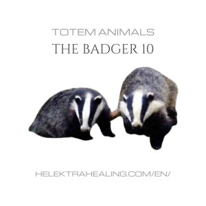 10 Totem Animals: The 