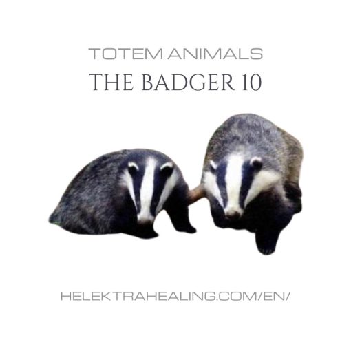 10 Totem Animals: The 
