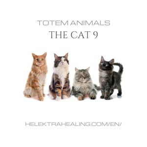 9 Totem Animals: The Cat