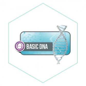 ThétaHealing® Basic DNA, Alapszeminárium