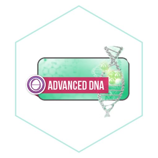 ThétaHealing® Advanced DNA, Haladó szeminárium / Személyes  / 564318518712, 5197148)