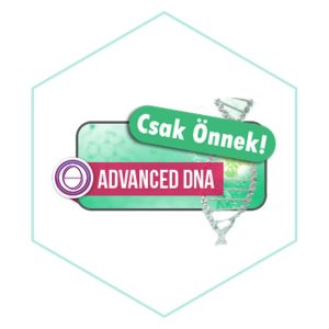   ThétaHealing® Advanced DNA, Haladó szeminárium CSAK ÖNNEK / 564318518712, 5197148