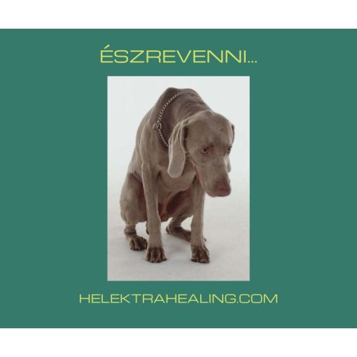 10 Napi Kihívás: Észrevenni...