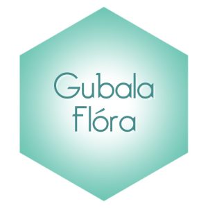 on one one session, Basic DNA TH Seminar