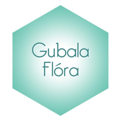 on one one session, Basic DNA TH Seminar